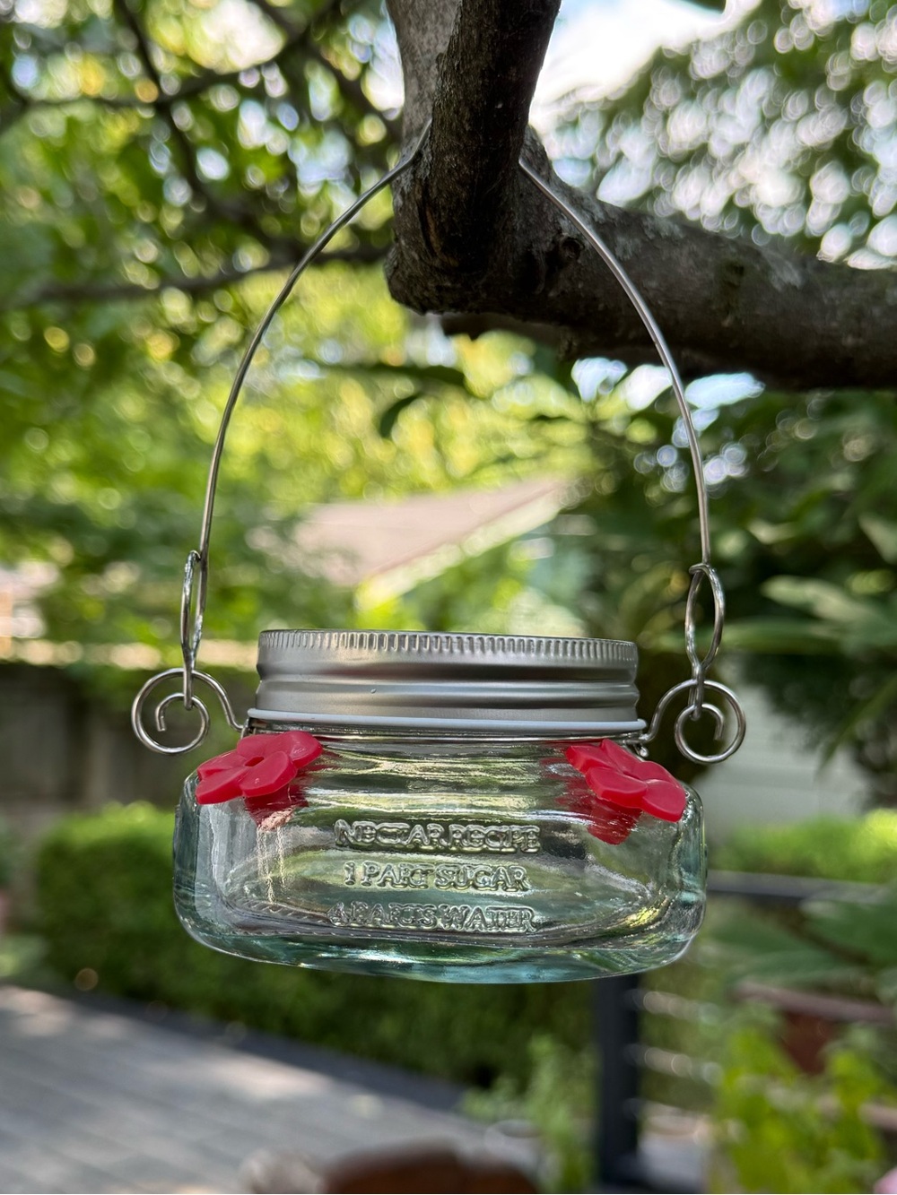 Glass Hummingbird Feeder with Red Flower Ports
